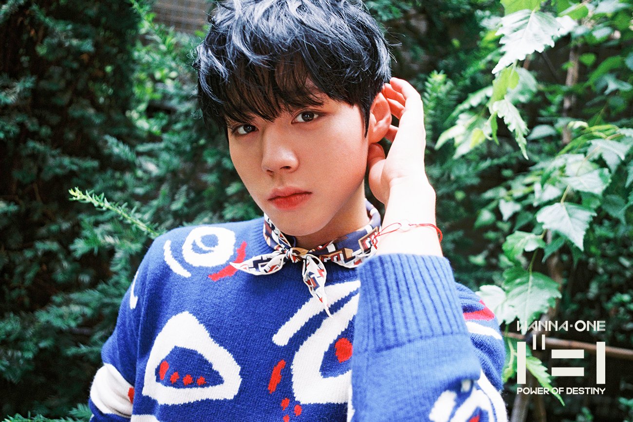 Wanna One Member Profiles: Maknae Line – Katherine Does K-POP